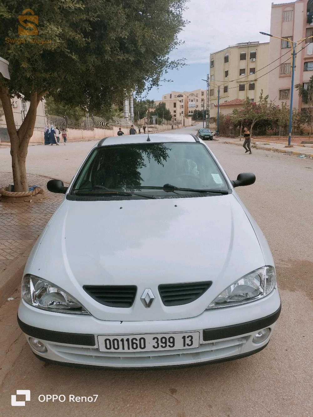 maghnia tlamcen