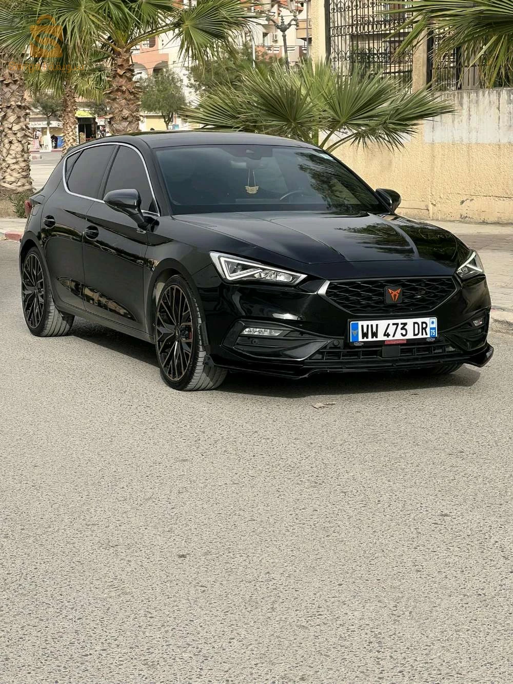 سيارات نقية