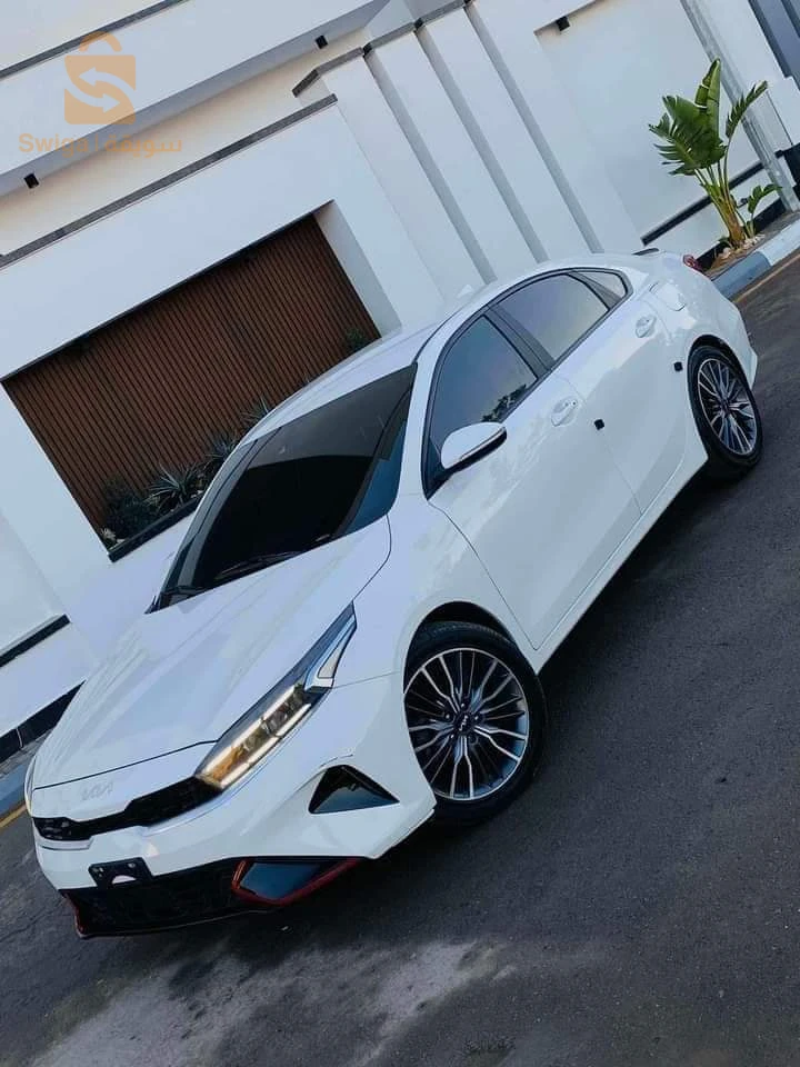الوادي