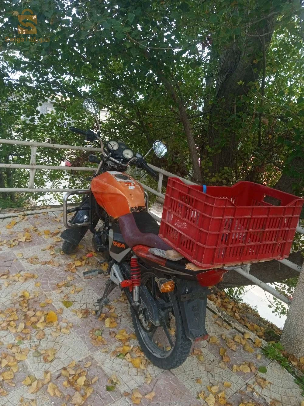 خناق مايون دائرة اولاد عطية سكيكدة