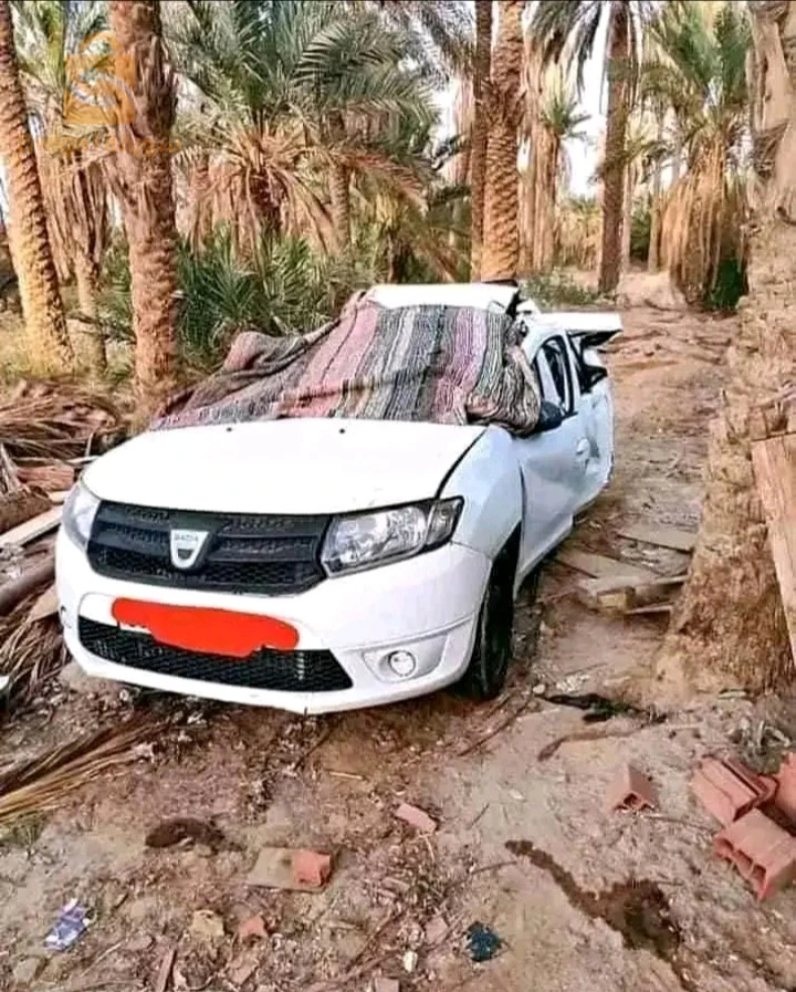 مشة ولاد بوشارب