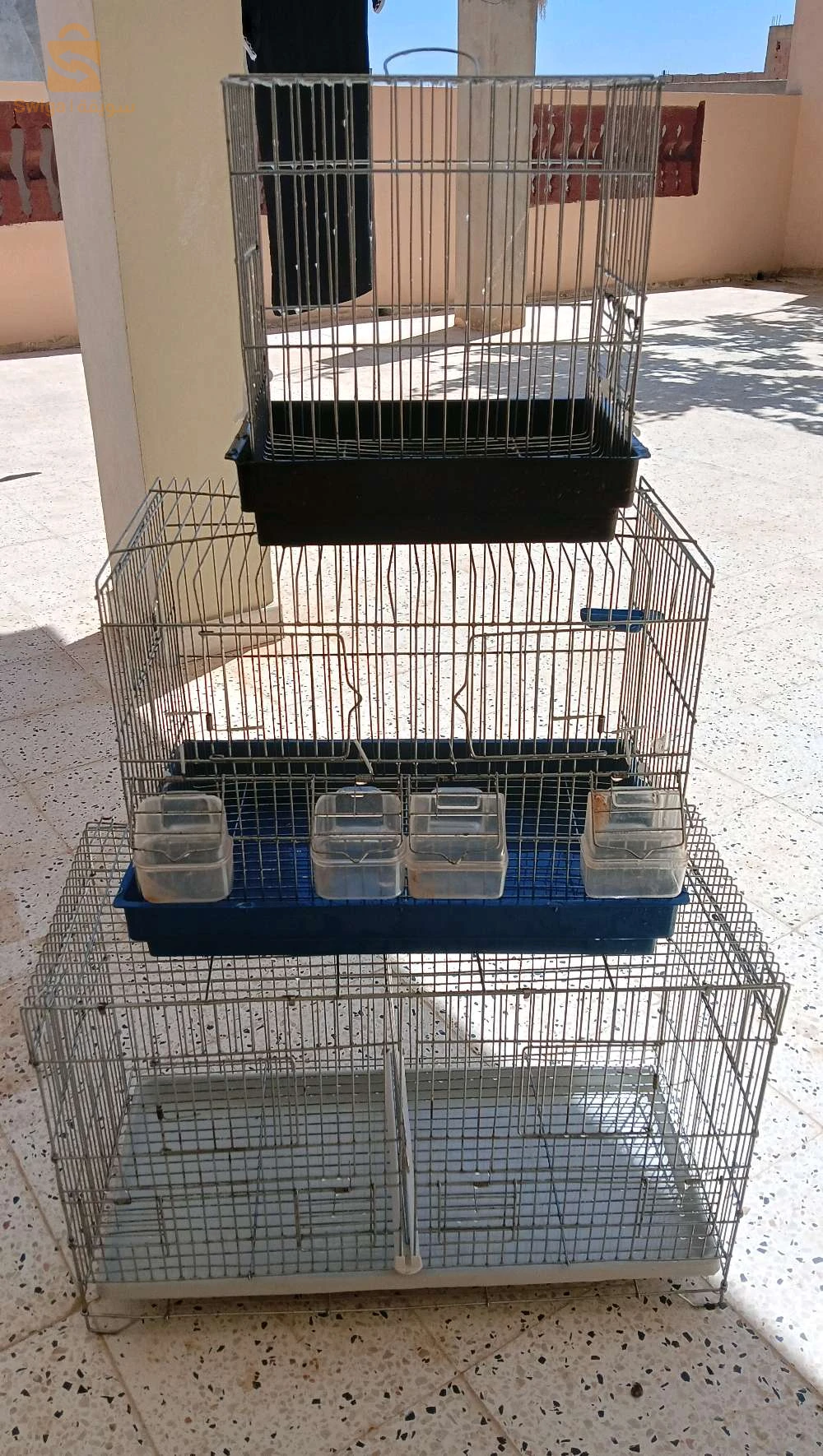 اقفاص طيور séparation