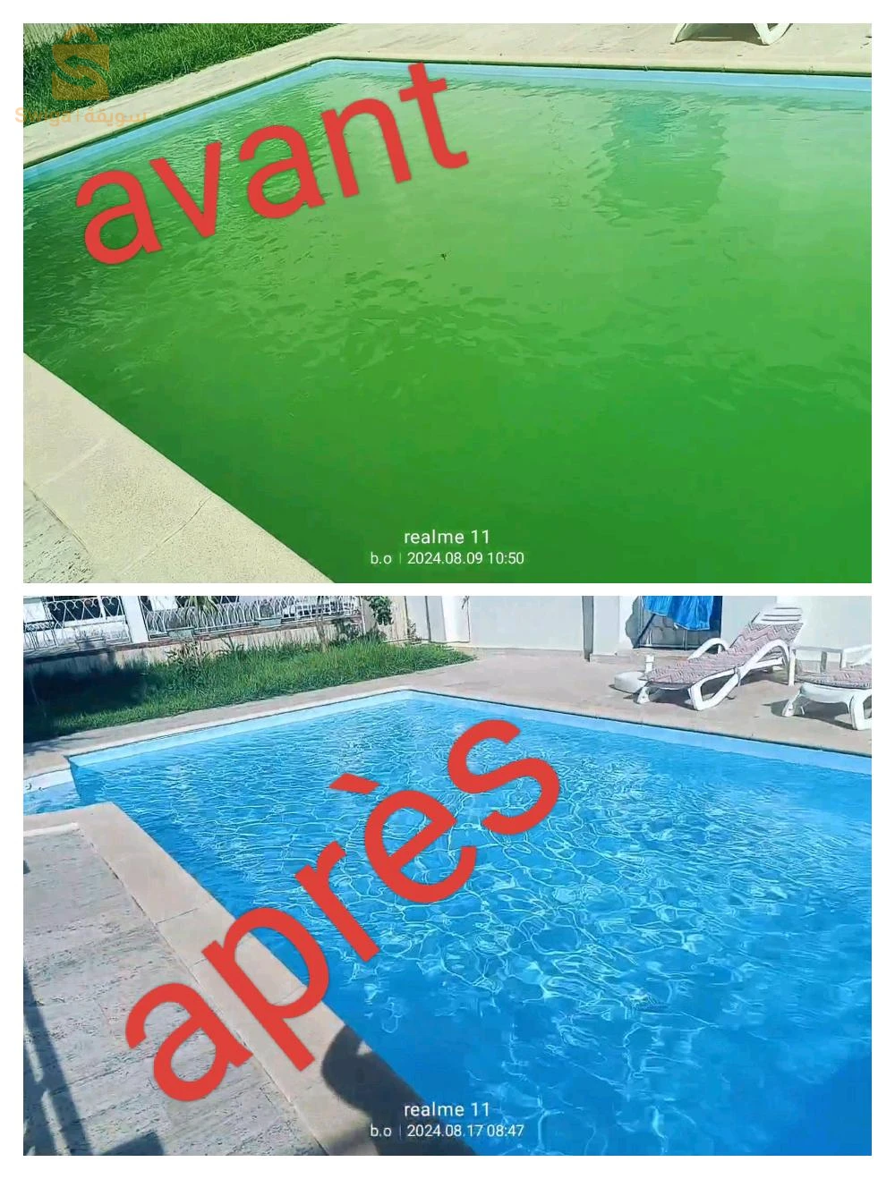 Nettoyage, traitement et entretien de piscines