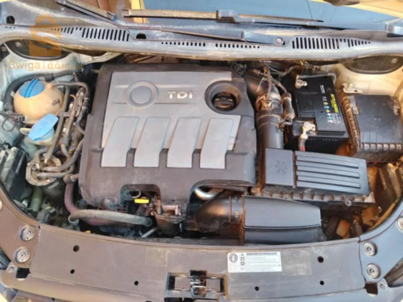 خدام في البيض