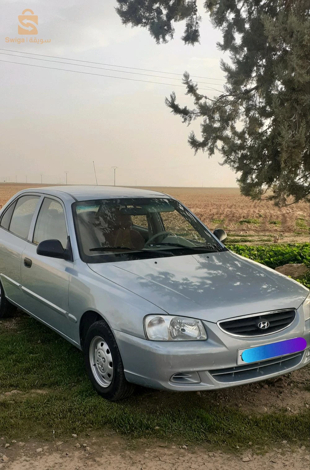 حي النصر