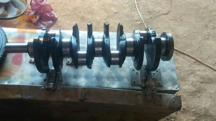 اولا عطية