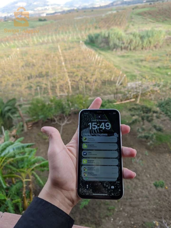 iPhone XR