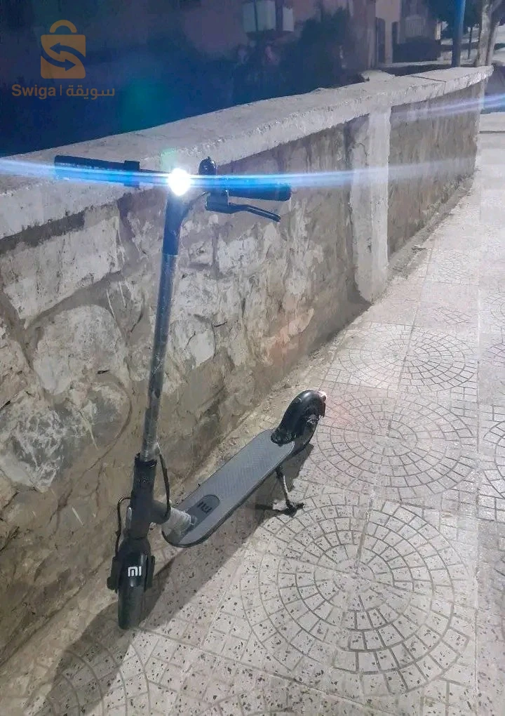 شلف بلدية تنس