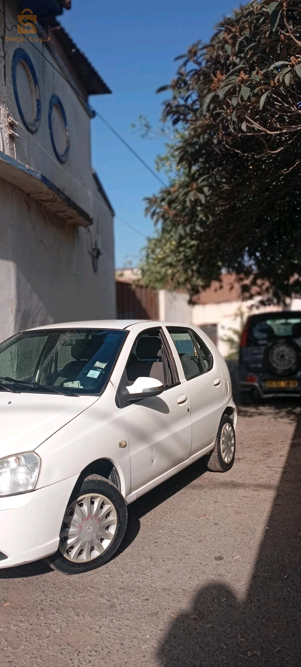 Tata andica