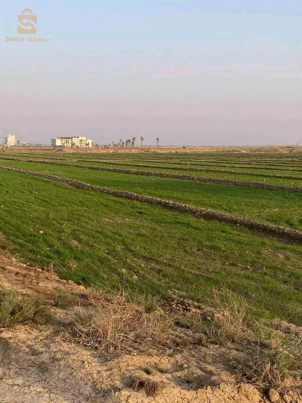 ارض زراعية 27 هكتار عقد امتياز للبيع