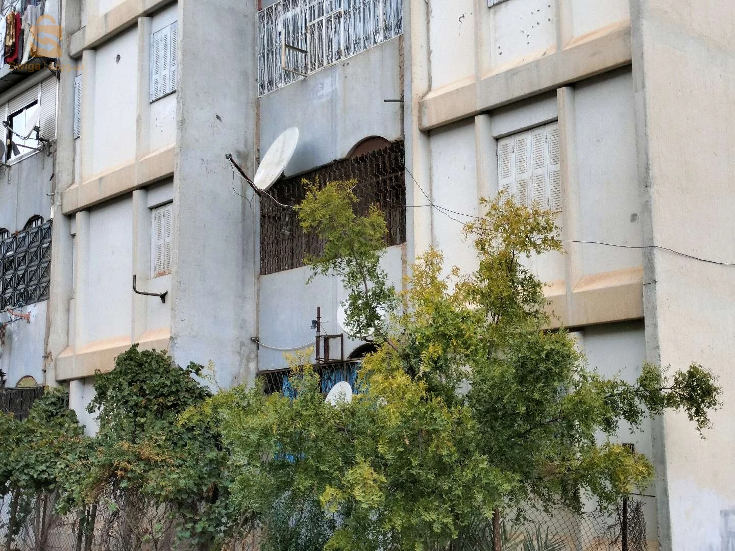 حريشة عمار عين اسمارة قسنطينة