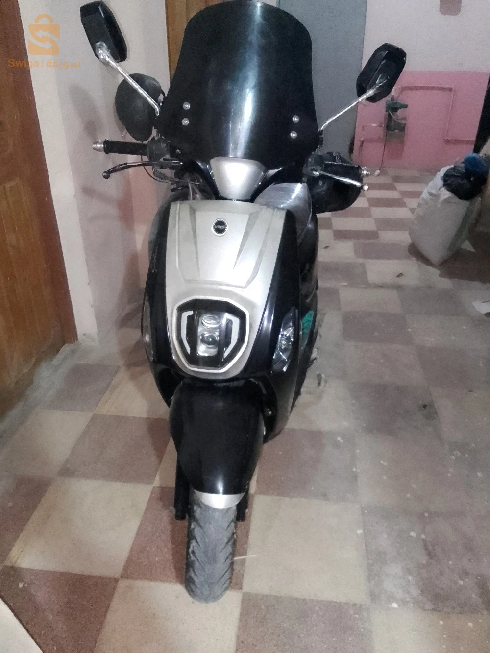 كوكسي اكستيت 2021