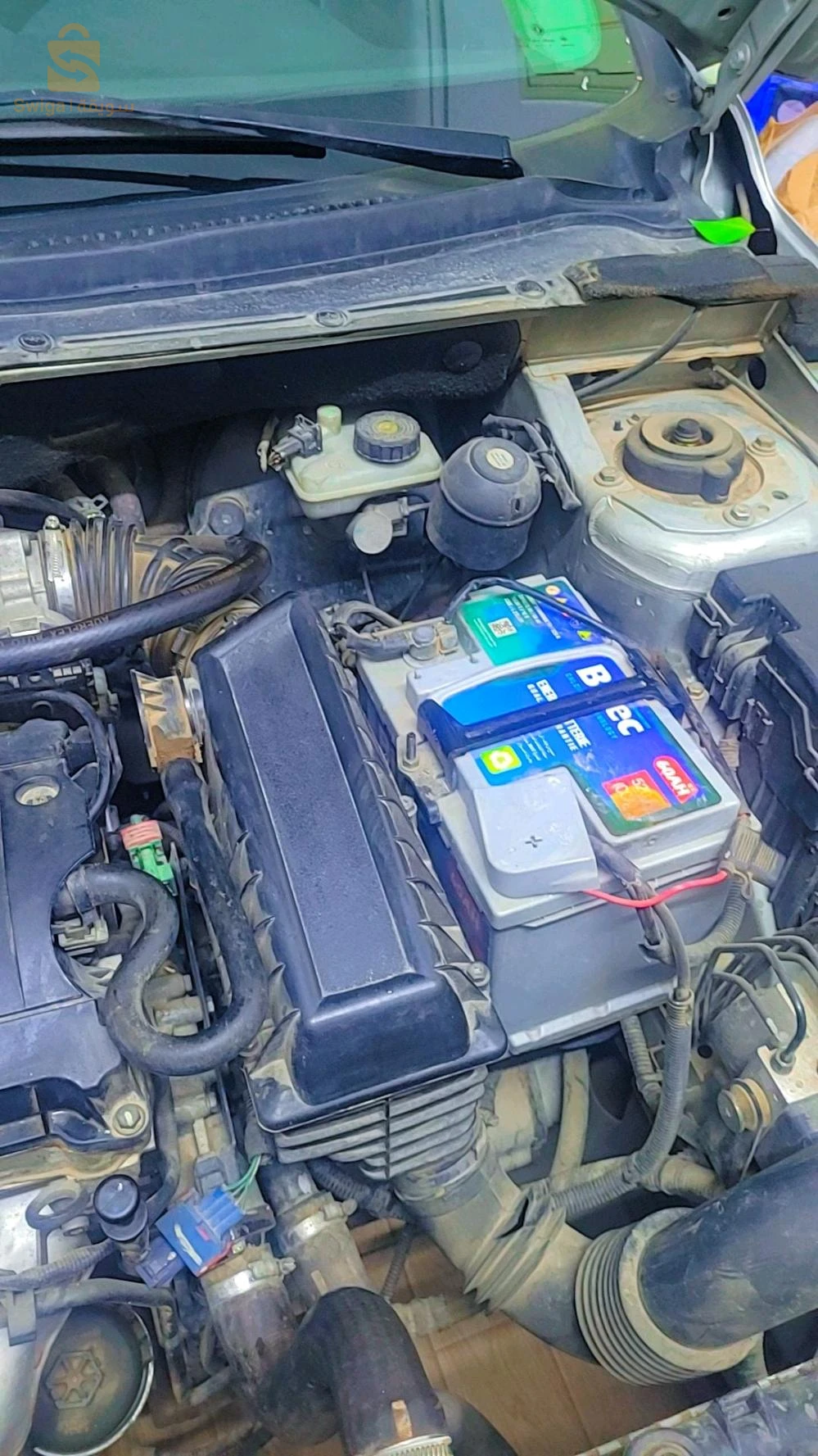 dfms30