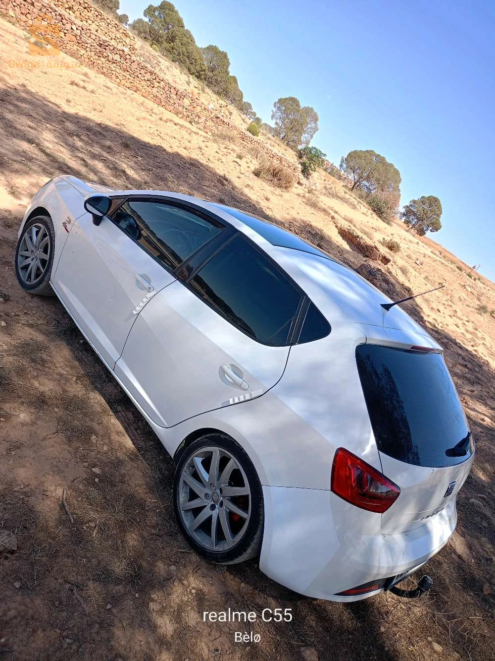 sidi belabes