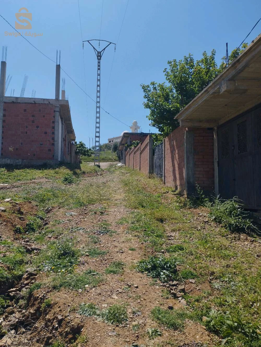terrain