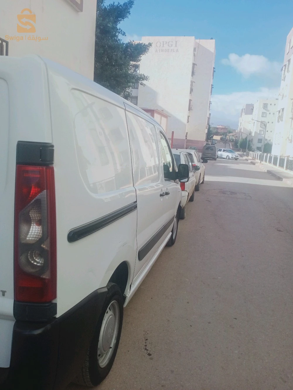 عبن دفلى