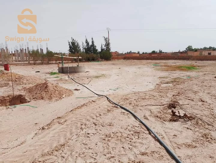 في القرية بالقرب من حضيرة البلدية بلدية الزعفران ولاية الجلفة