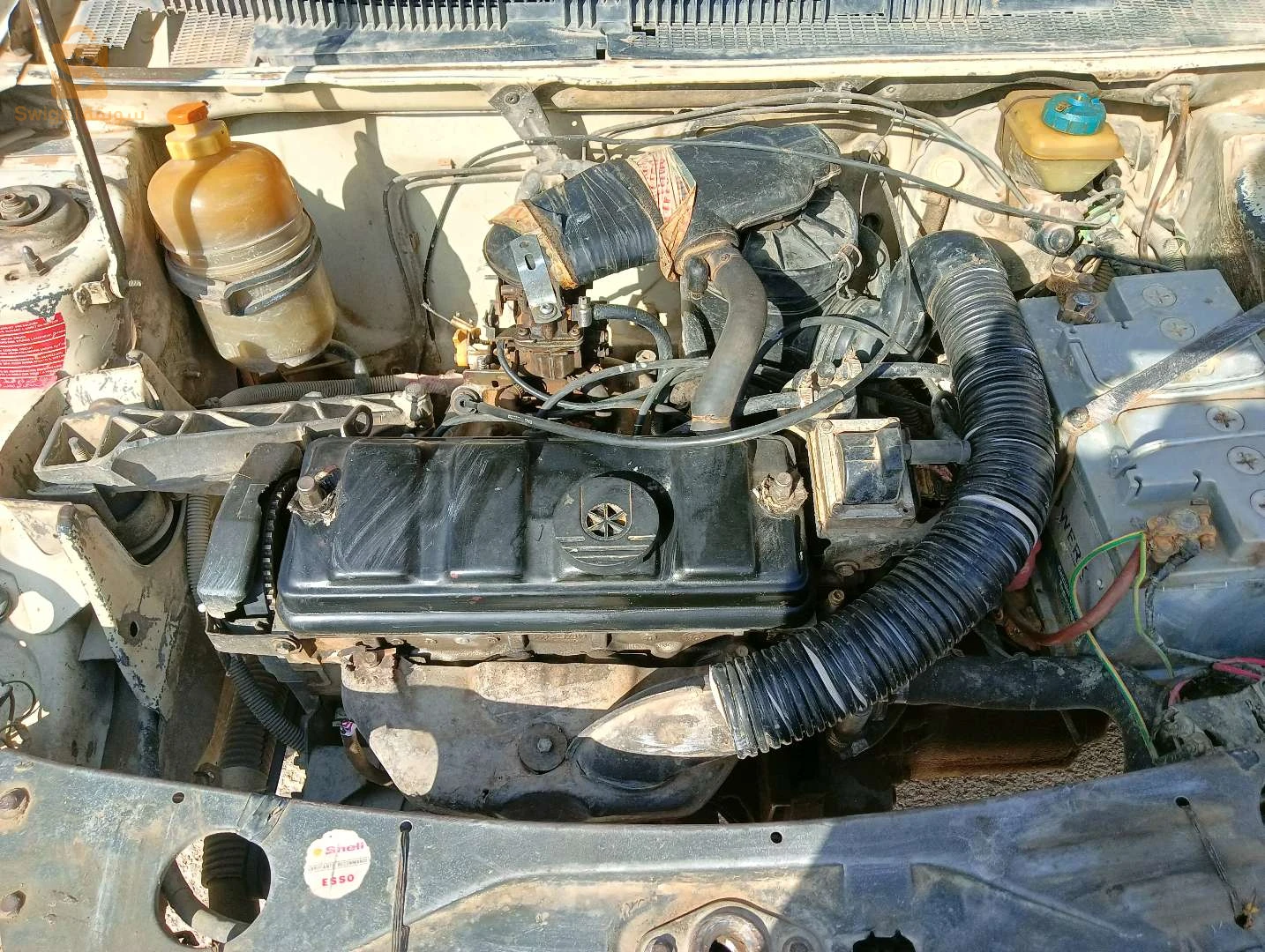205 junior