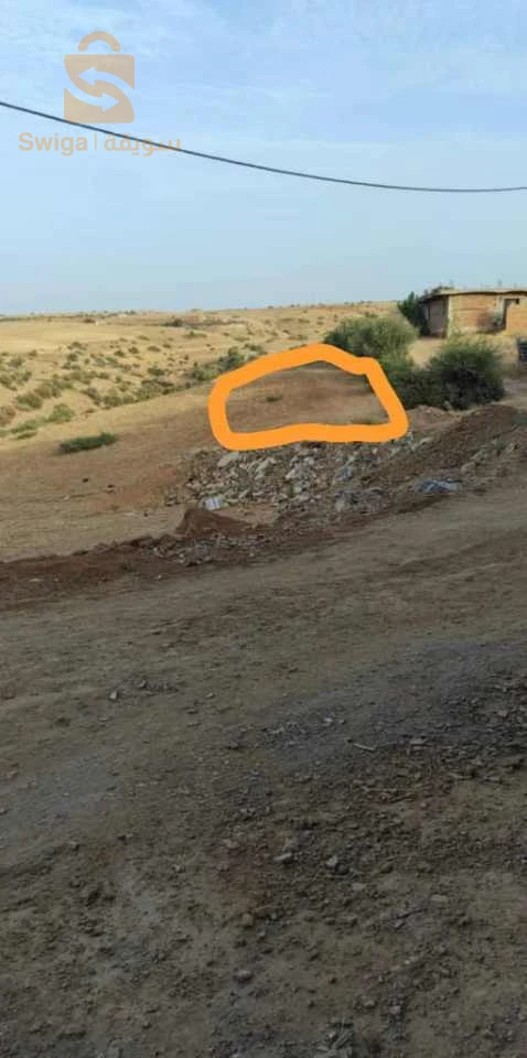 شلف أم اذروع ڨلافطيا