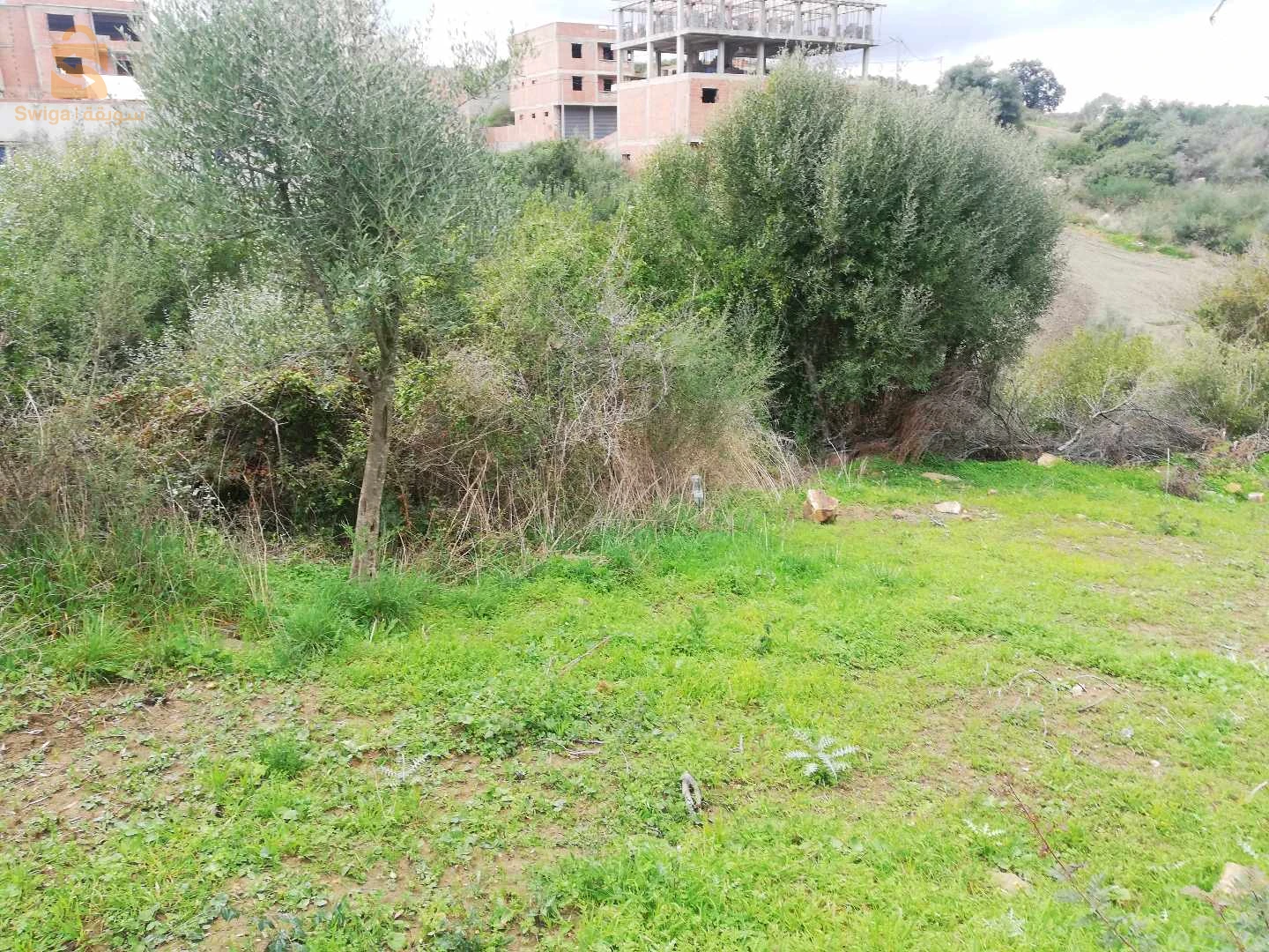 Terrain a vendre