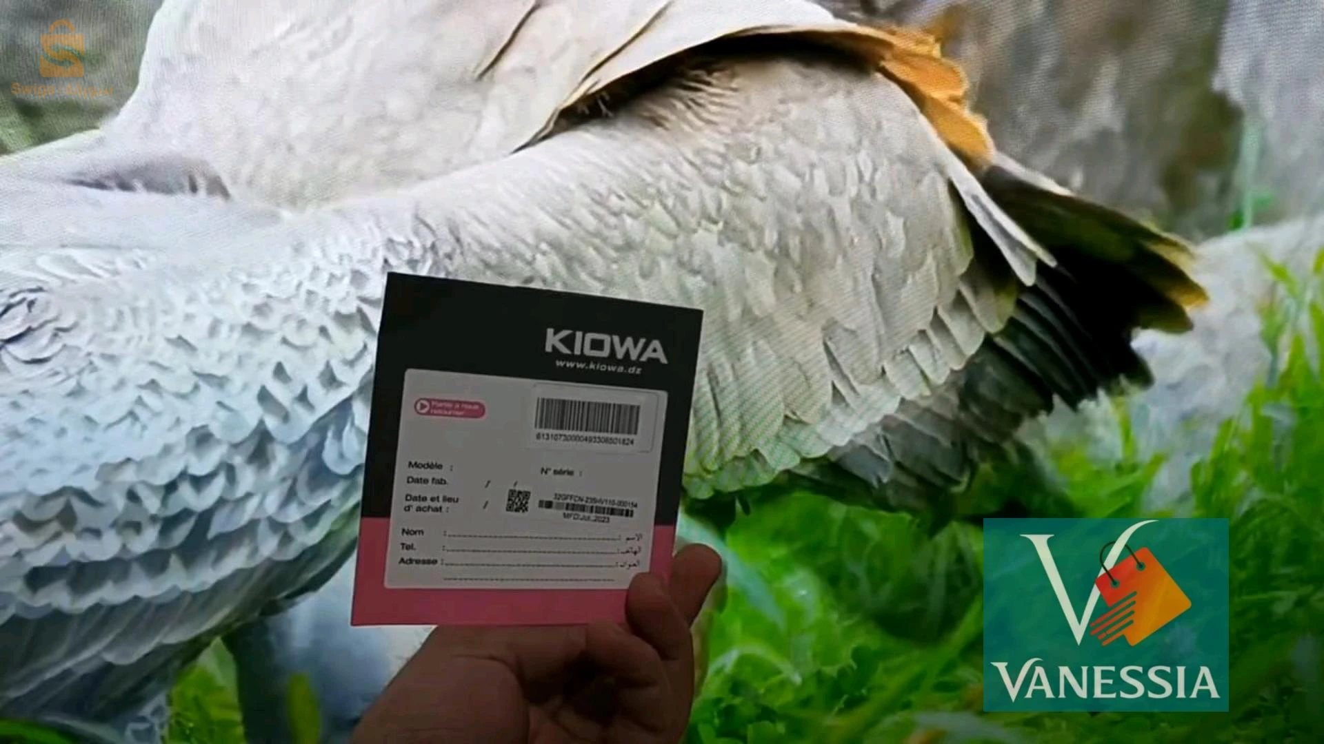 Téléviseur kiowa 32 Pouces simple