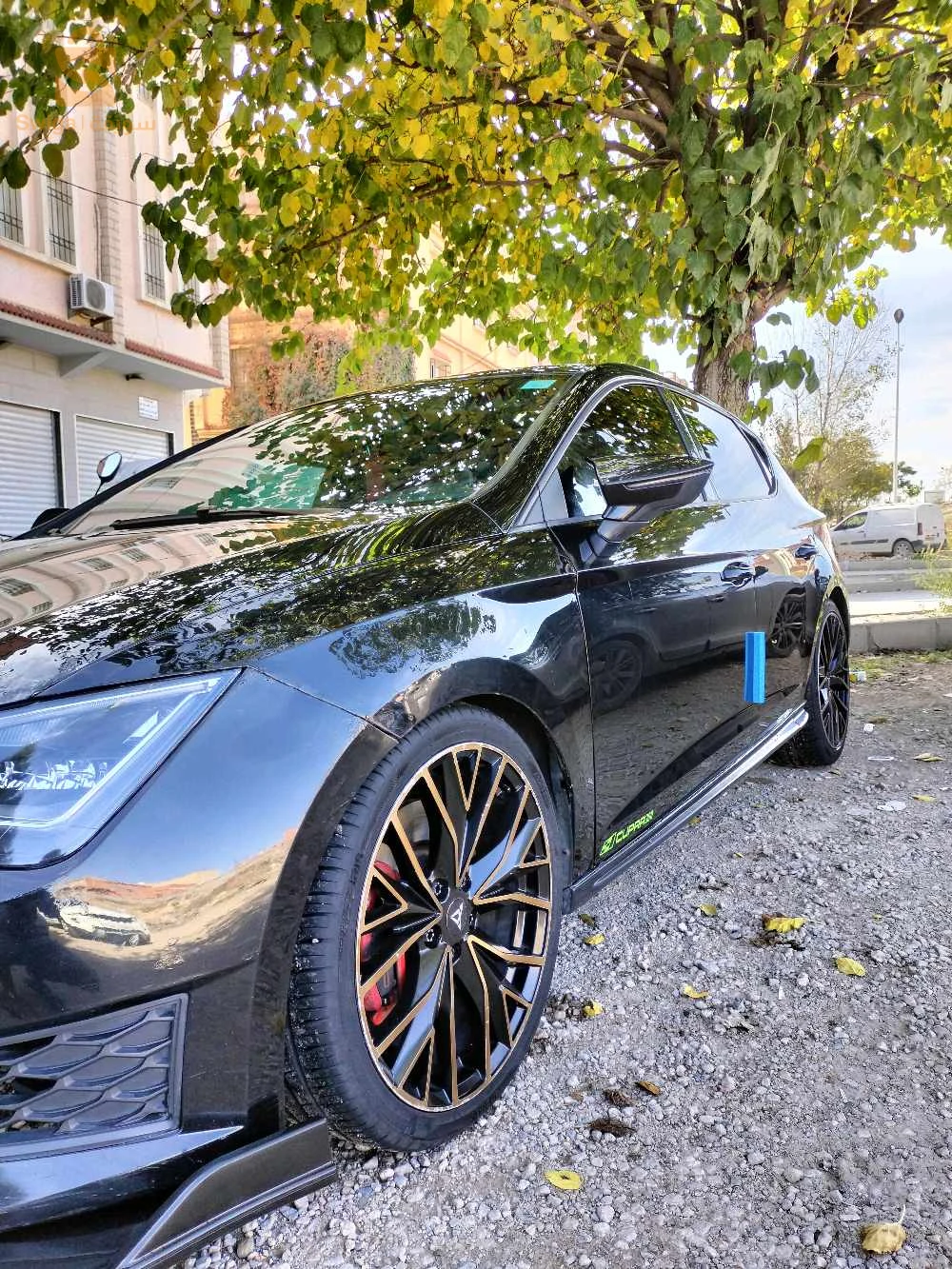 cupra 2016  والو بانتورة