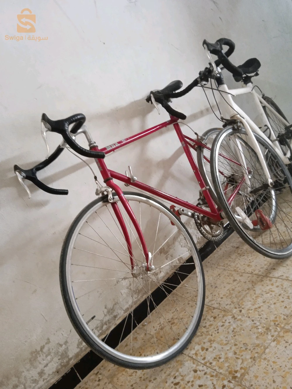 غليزان برمادية