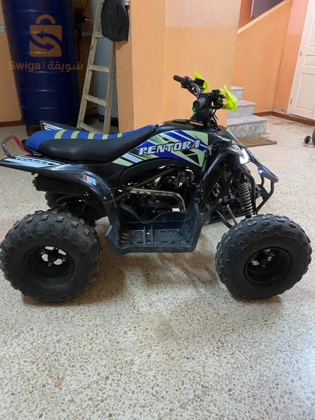 VMS Quad Raptor 125CC 2024