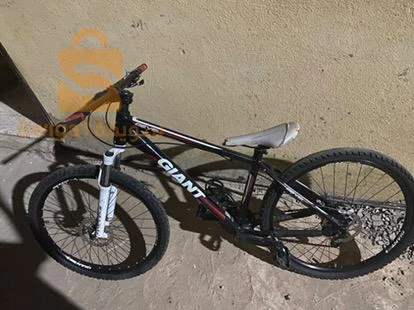 velo giant