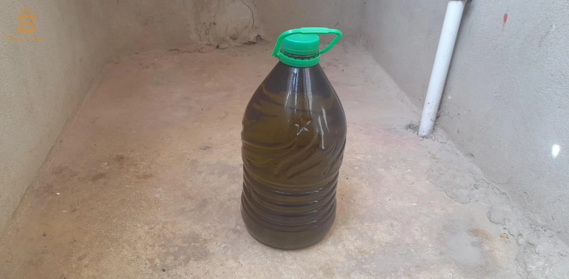 تمالوس ولاية سكيكدة