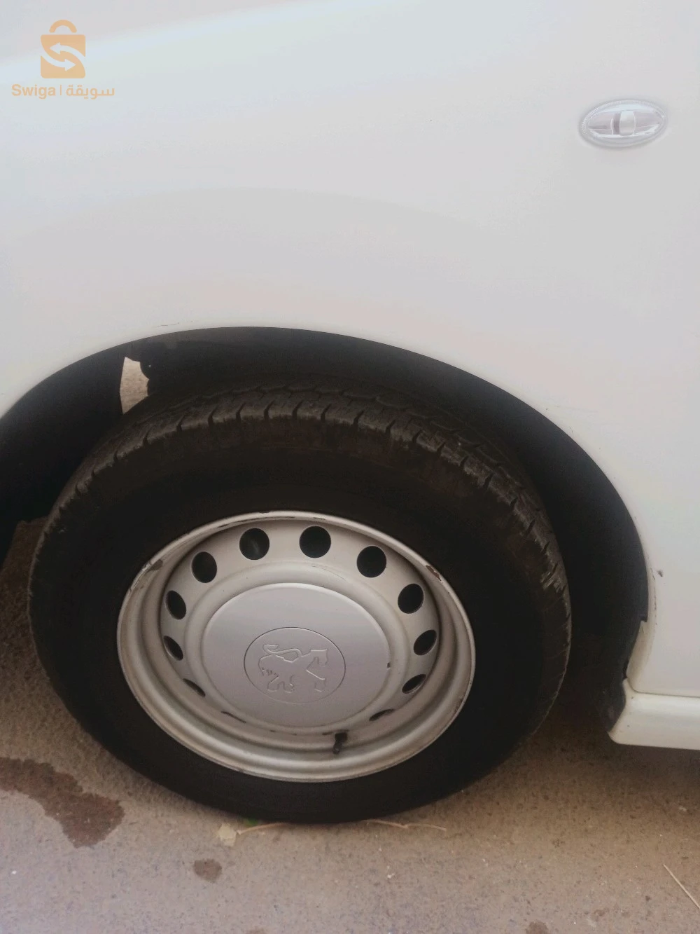 عبن دفلى