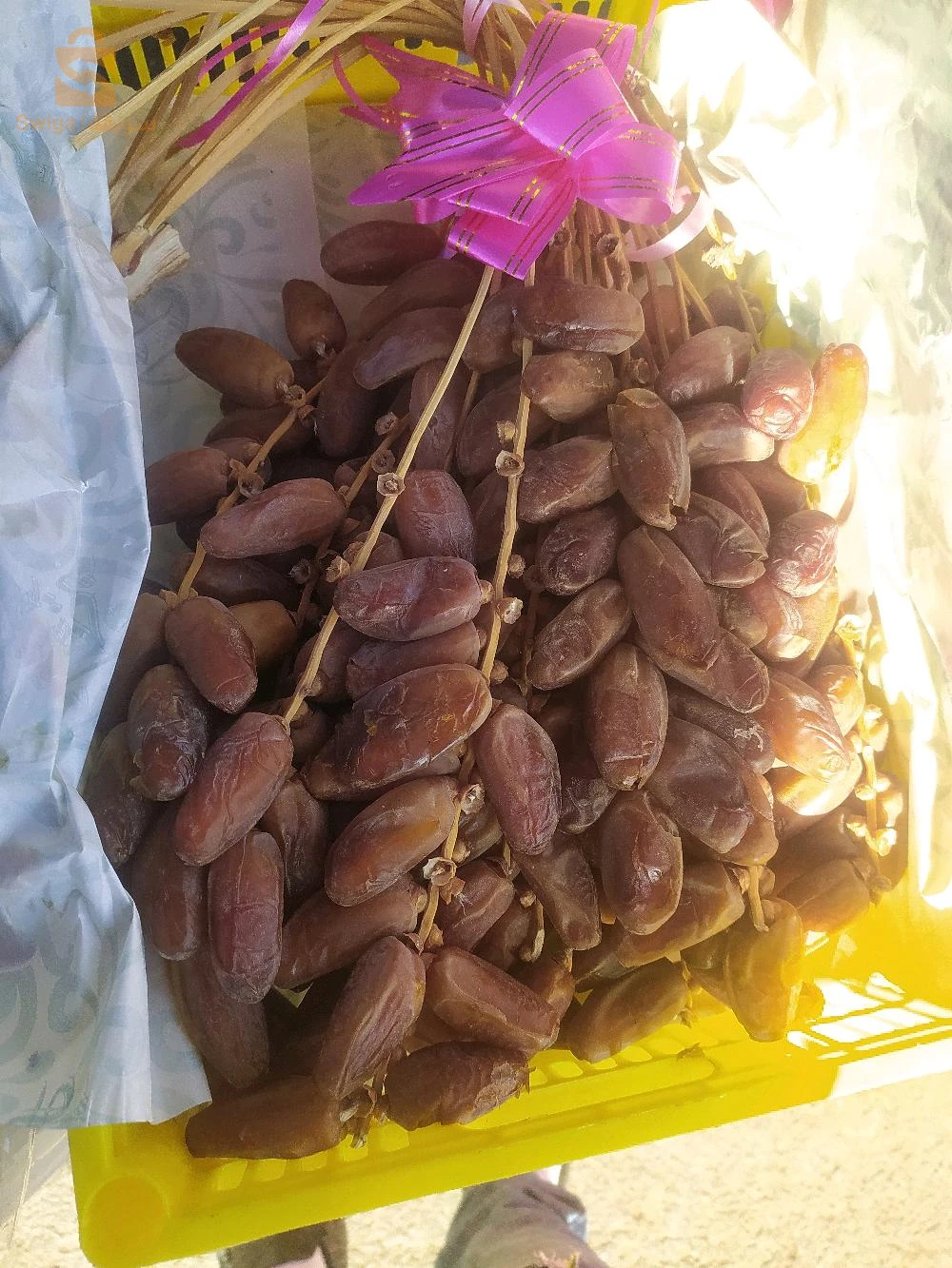 تمر جديدة
