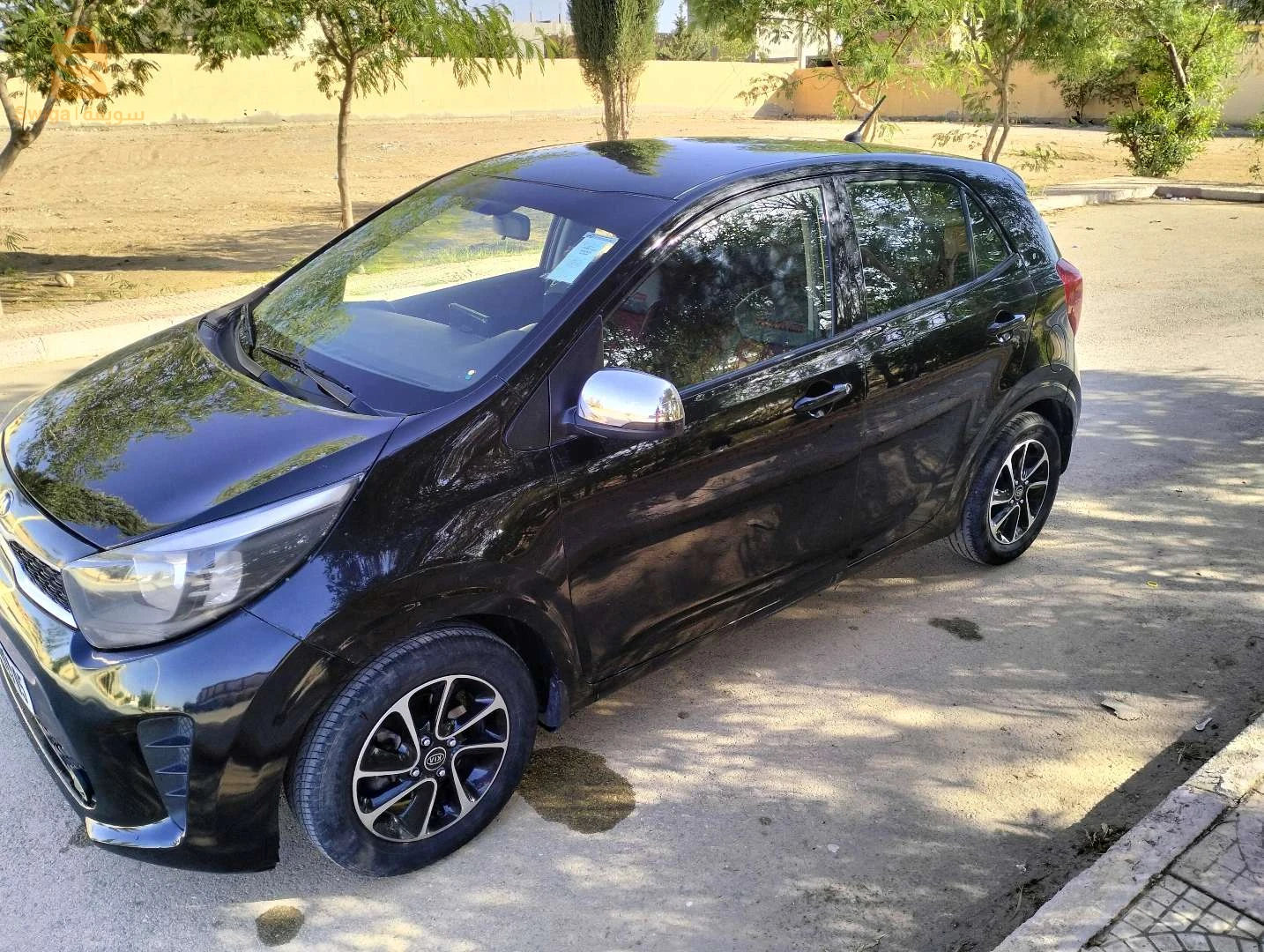 بريكة/ باتنة