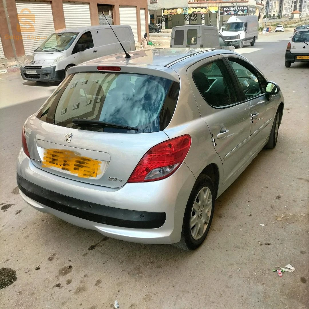 207 +سنة 2013