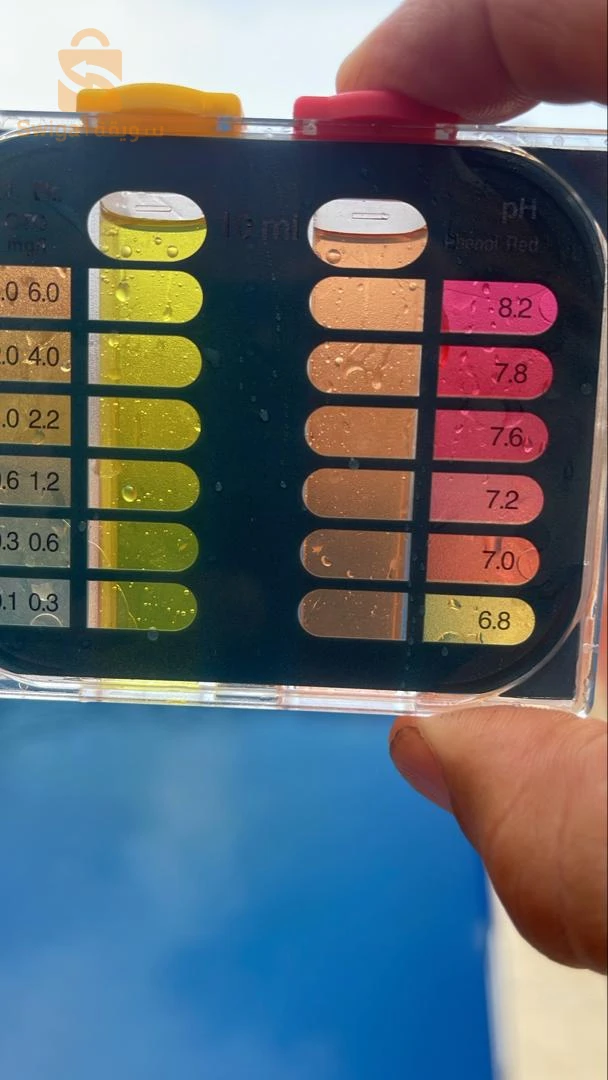 Nettoyage, traitement et entretien de piscines