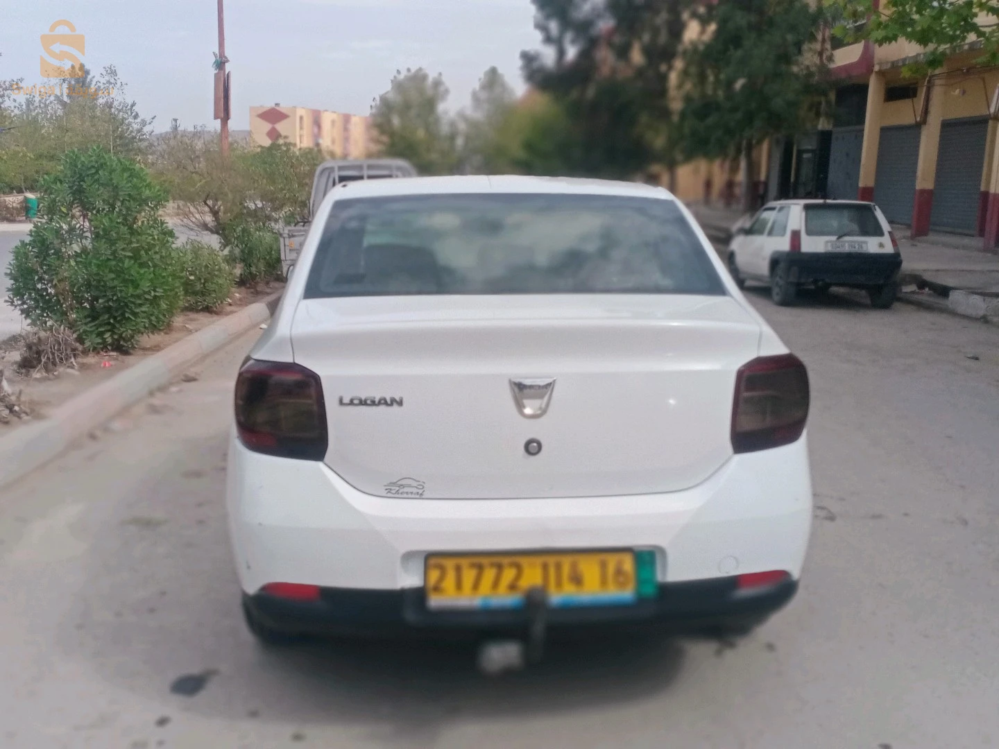 المدية