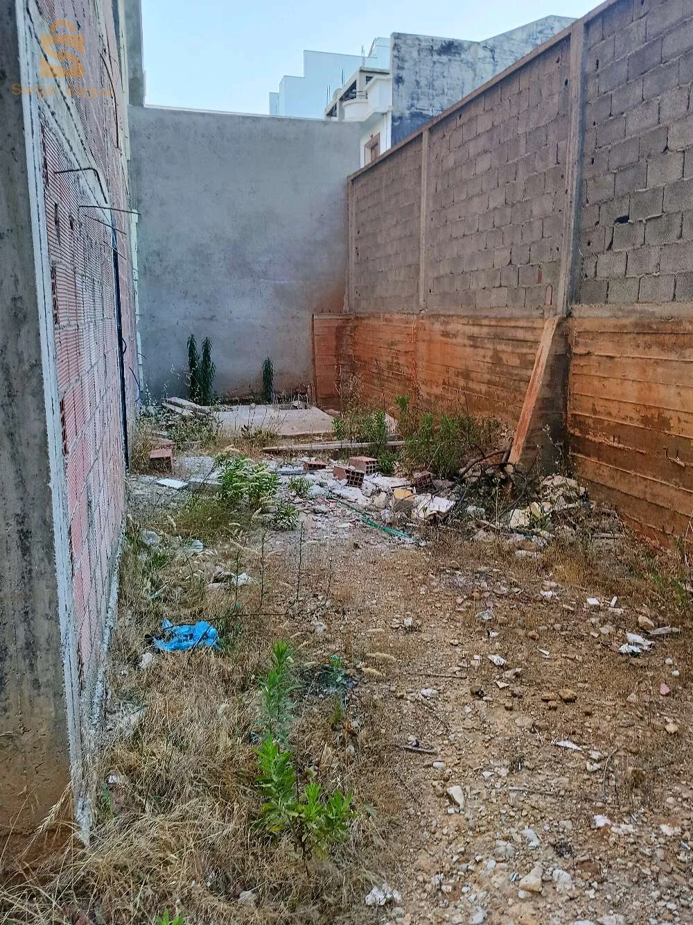 كاركاس للليع