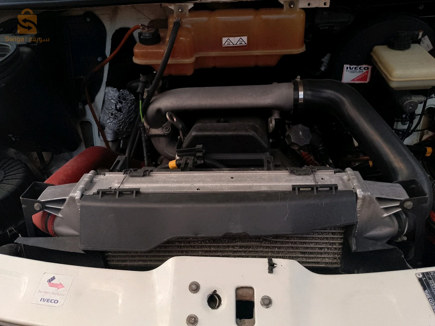 ايفيكو دايلي