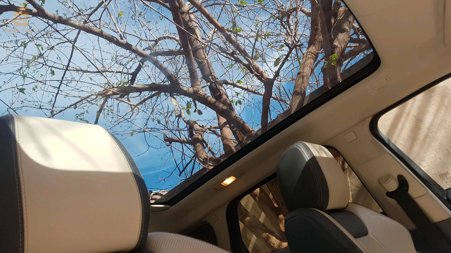 بلدية الشط.. ولاية الطارف