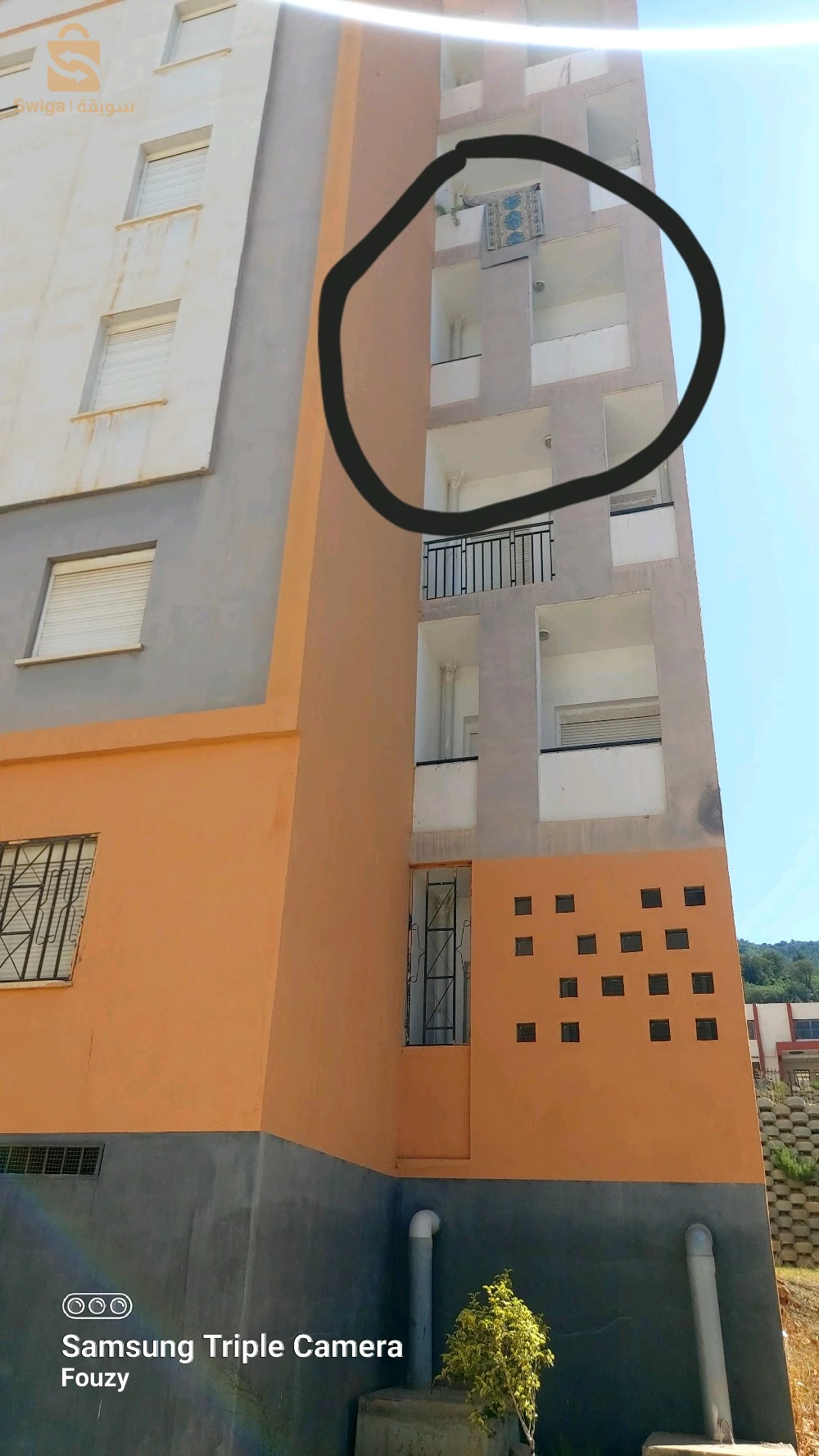 appartement f3 sidi serhane blida