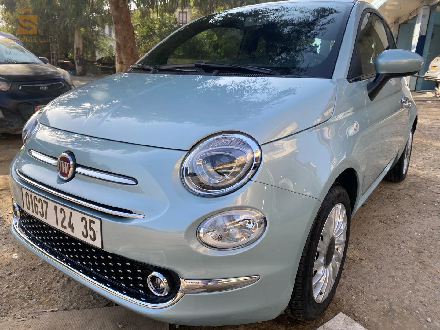 fiat 500 club dz