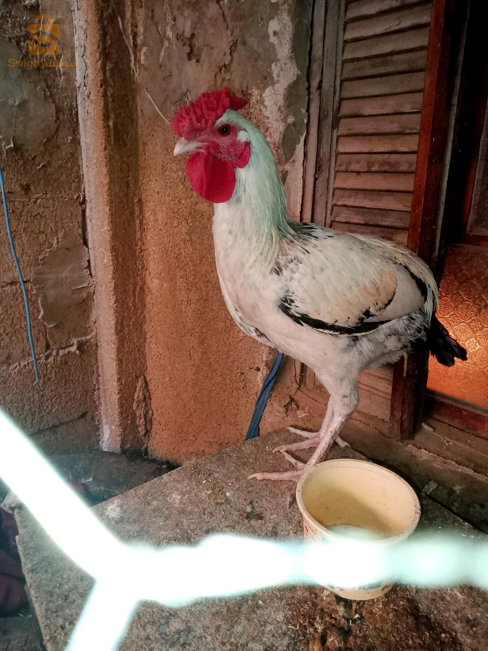 سرادك