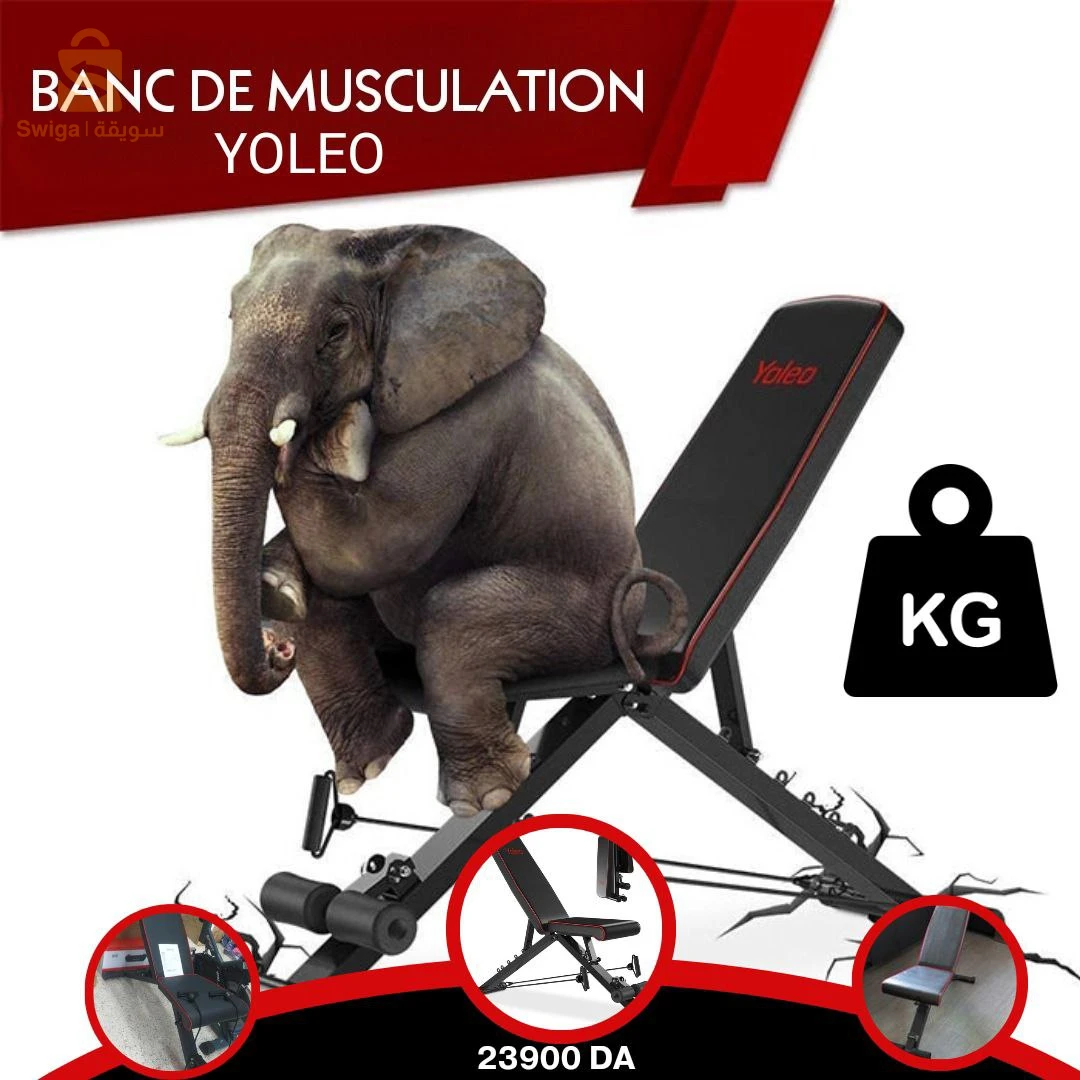 🔴Banc Réglable De Musculation