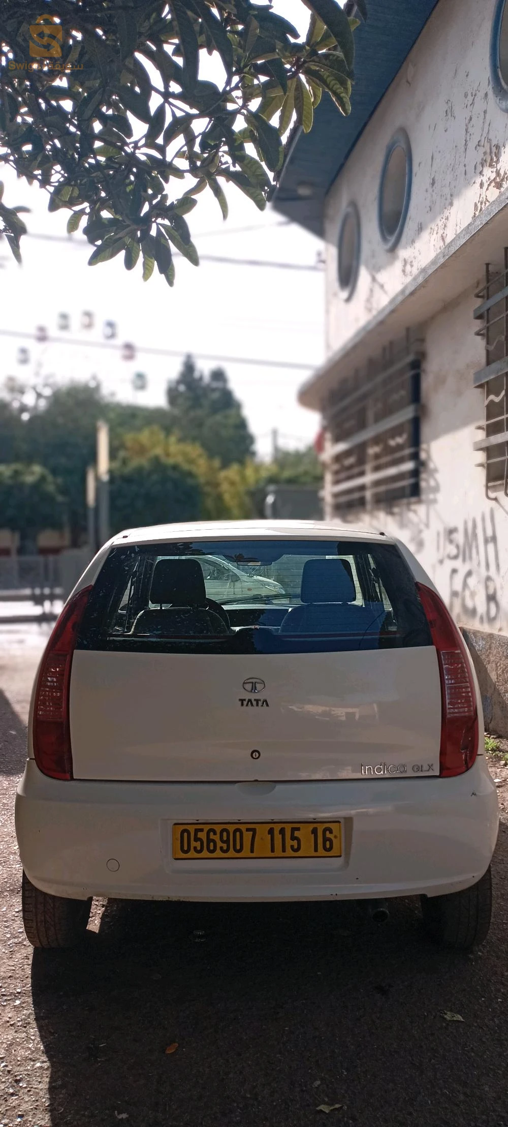 Tata andica