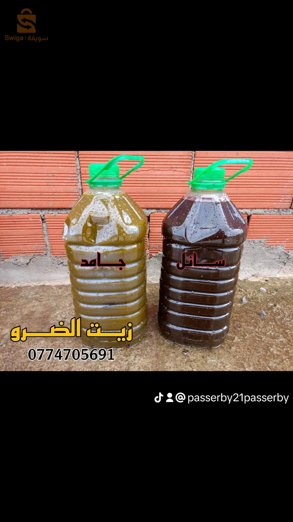 تمالوس ولاية سكيكدة