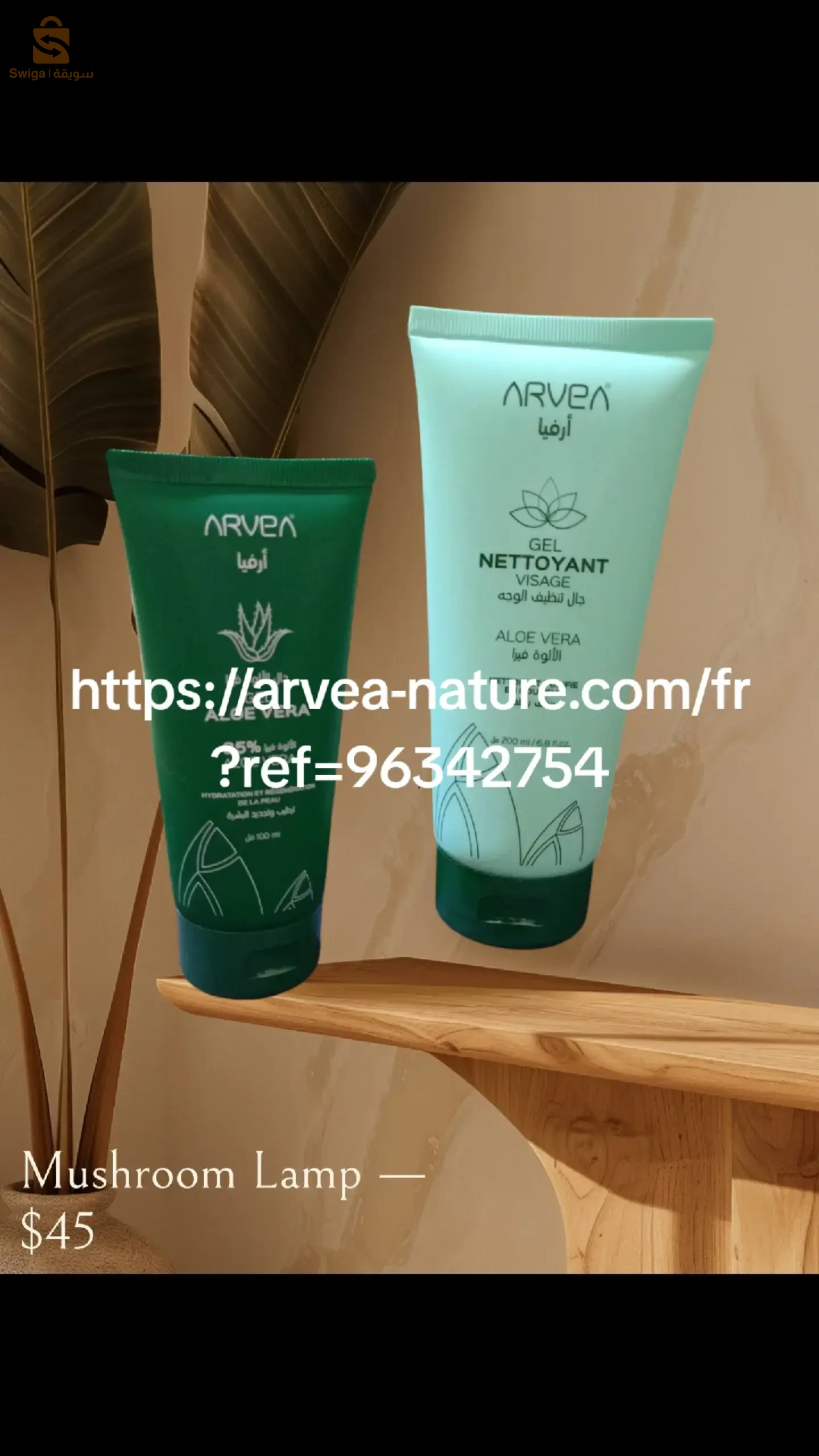 عنابة