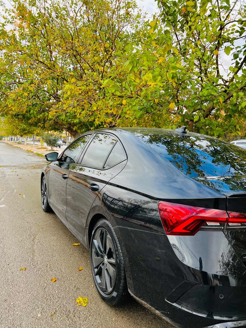 Skoda octavia vrs 2023