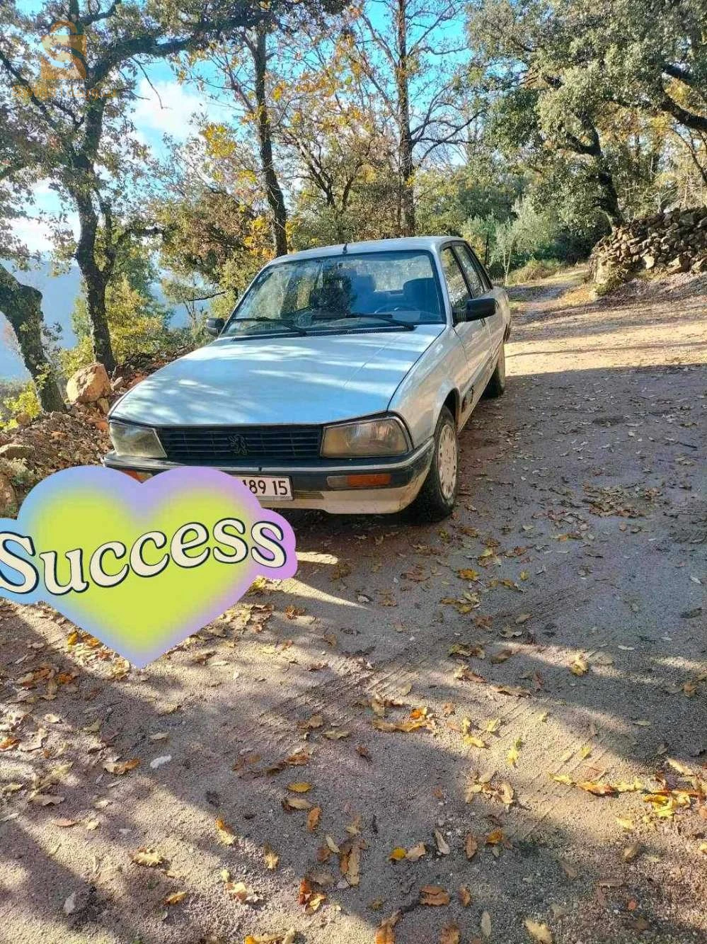 ok