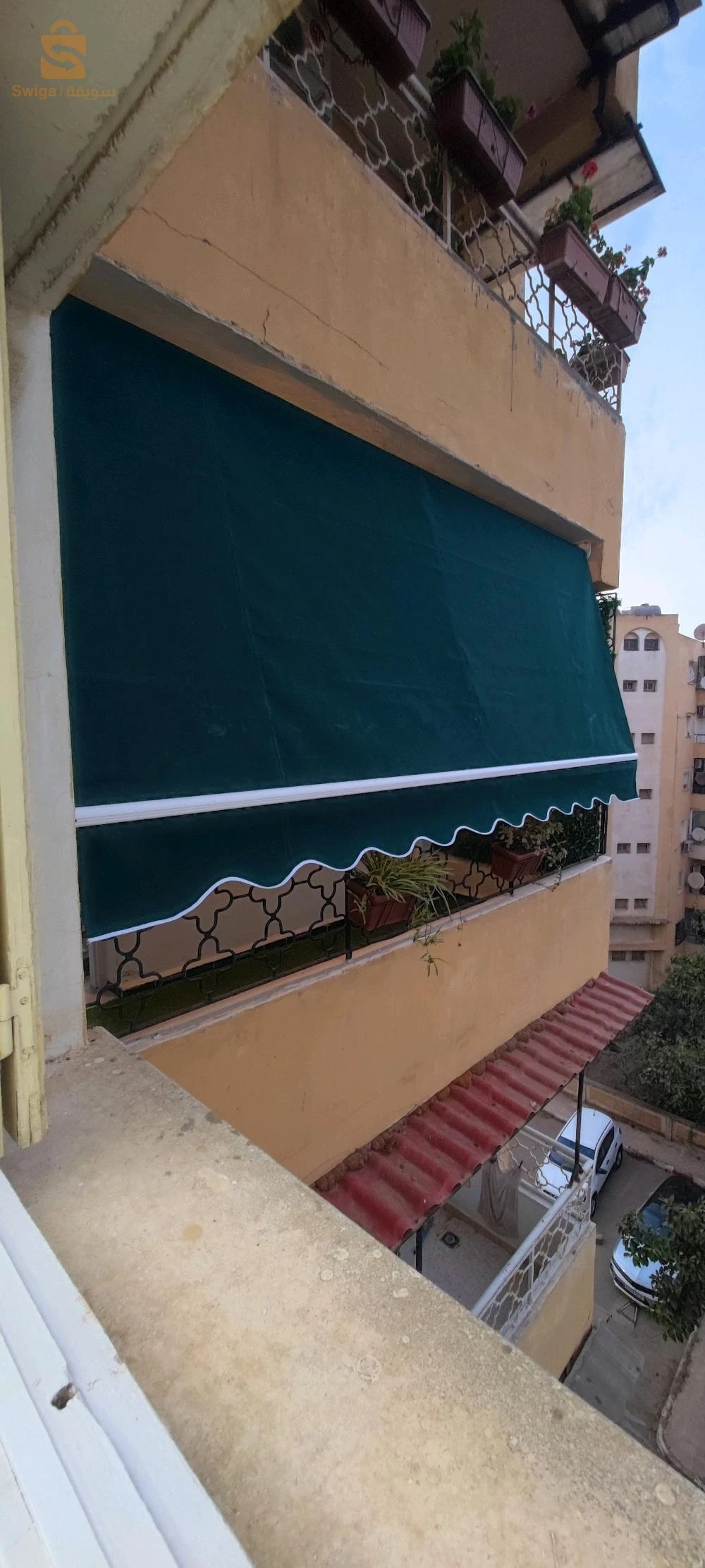 رويبة
