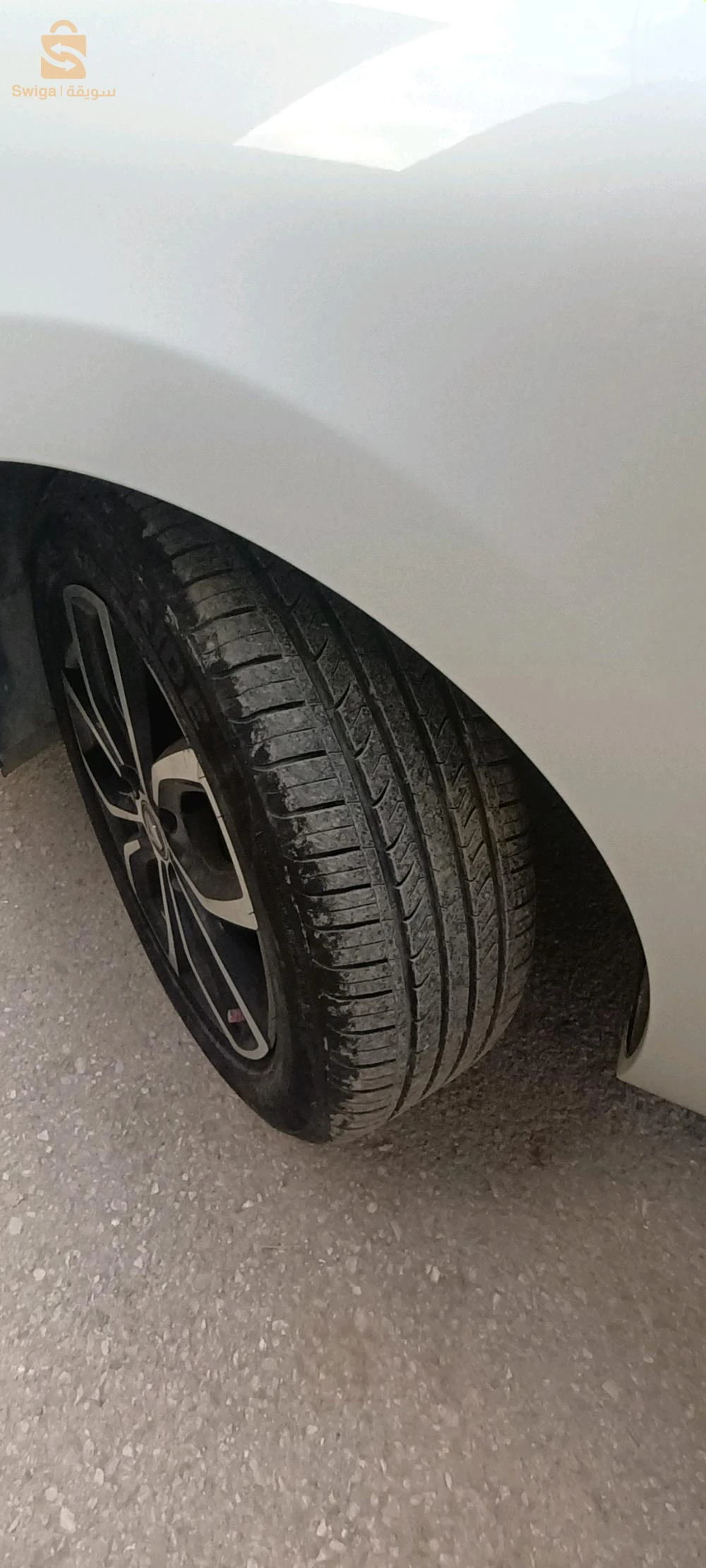 البليدة
